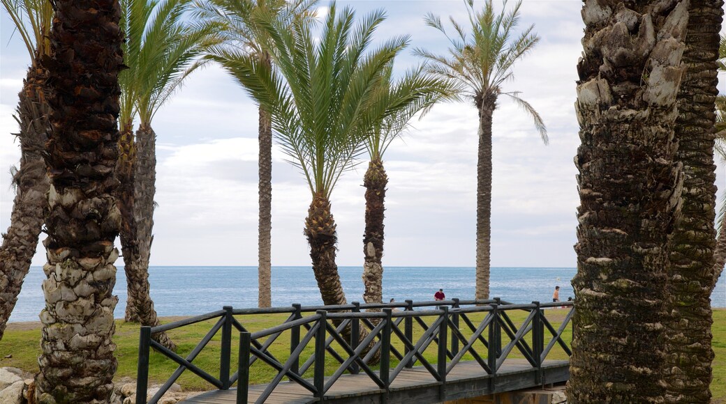 Playa Los Alamos inclusief tropische uitzichten en algemene kustgezichten