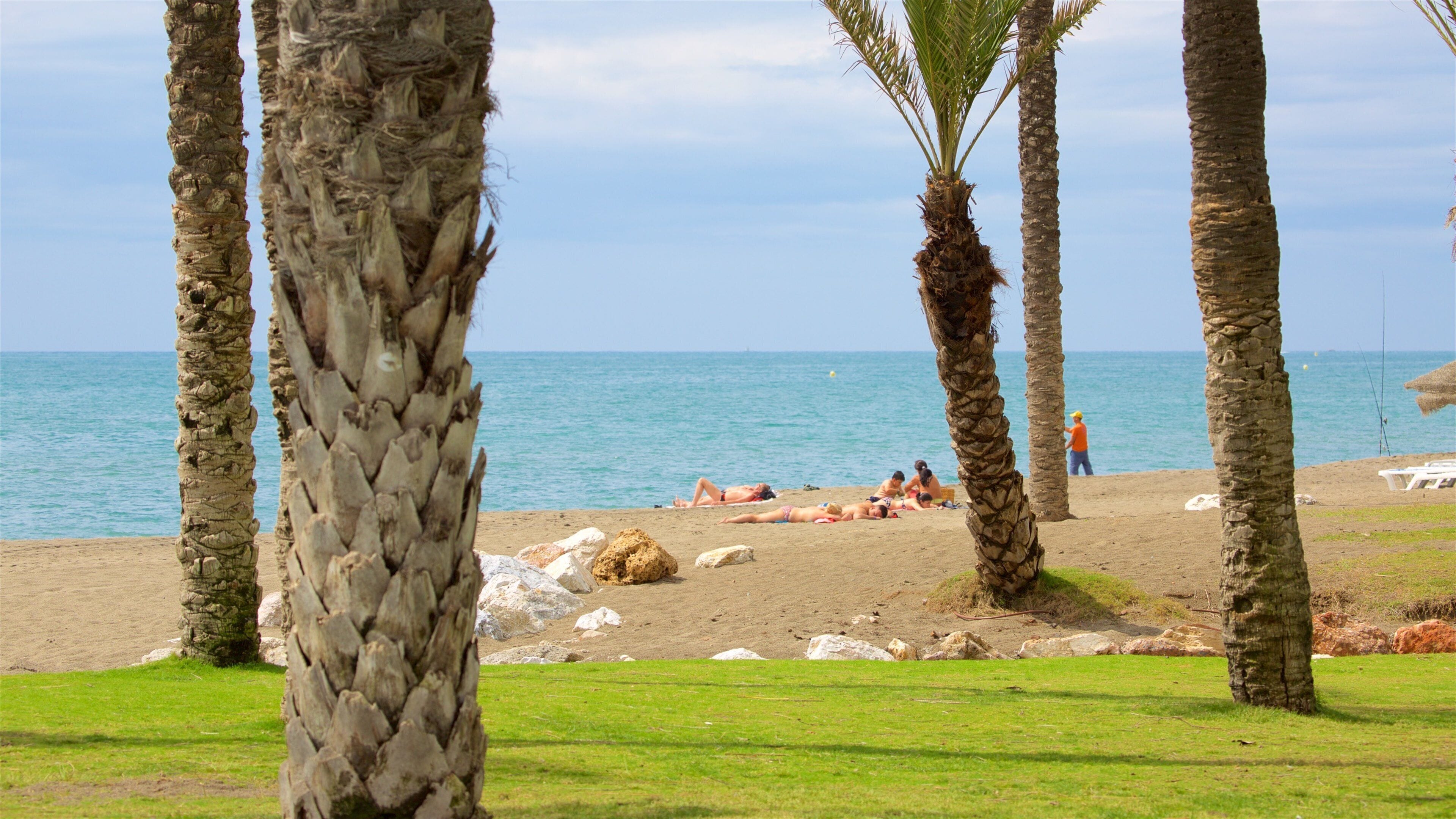 Los Alamos Strand og byder på tropiske områder og udsigt over kystområde