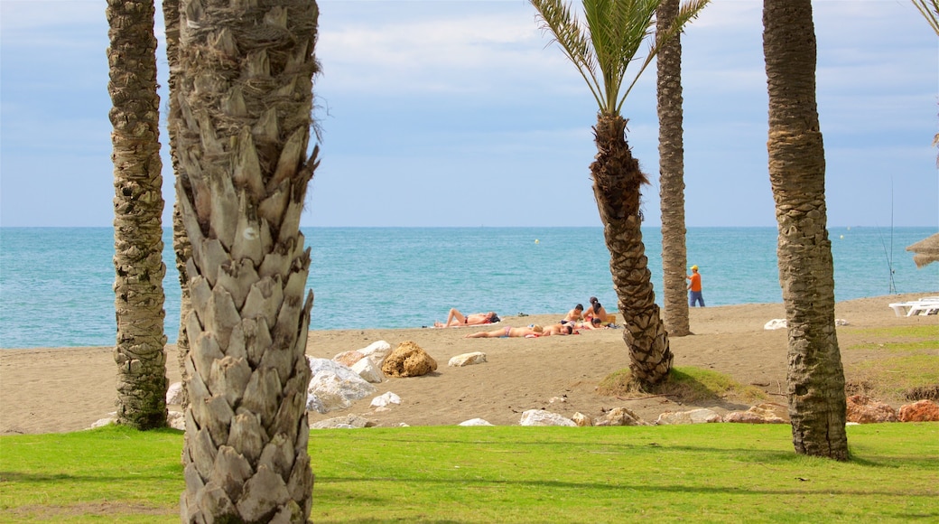 Los Alamos Strand og byder på tropiske områder og udsigt over kystområde