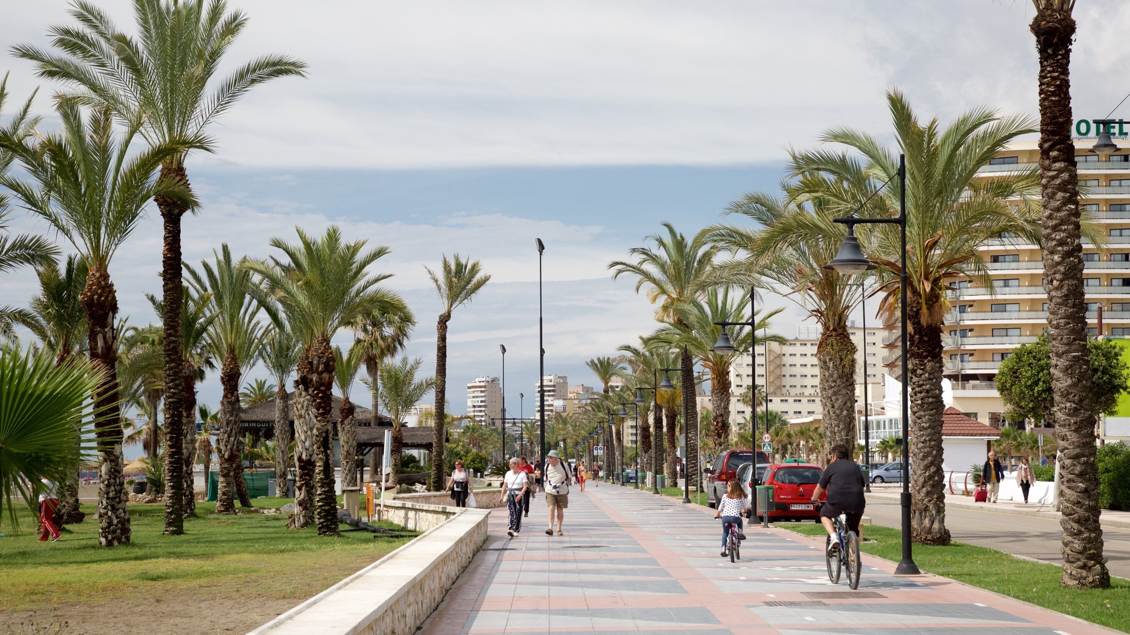 Los Alamos Beach showing street scenes and tropical scenes