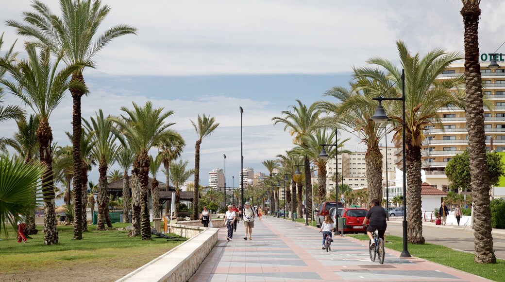Los Alamos Beach showing street scenes and tropical scenes