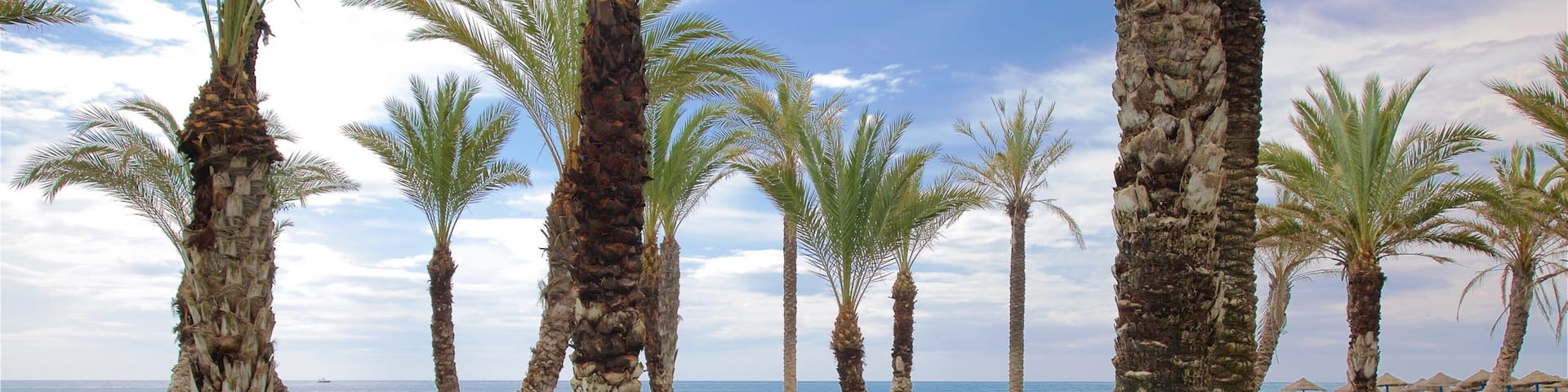 Los Alamos Beach which includes general coastal views and tropical scenes