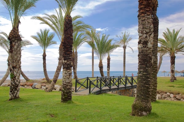 Los Alamos Beach which includes general coastal views and tropical scenes