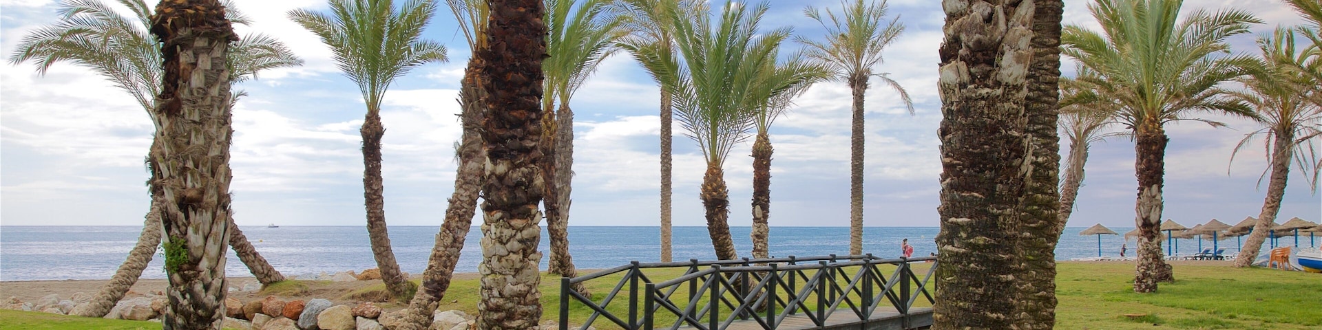 Praia de Los Álamos caracterizando cenas tropicais e paisagens litorâneas