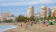 Une plage bordée de palmiers, des gens qui prennent un bain de soleil, et de grands immeubles en arrière-plan.