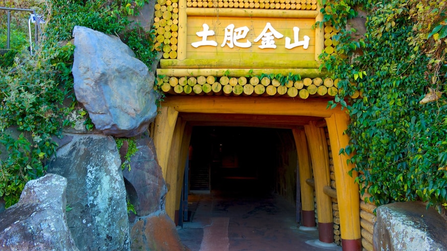 ํ ์ด ๊ธด์ ์ด ํฌํจ ์ ํธ