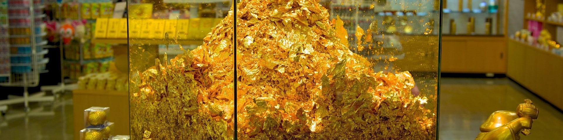 Toi Kinzan mostrando vistas internas