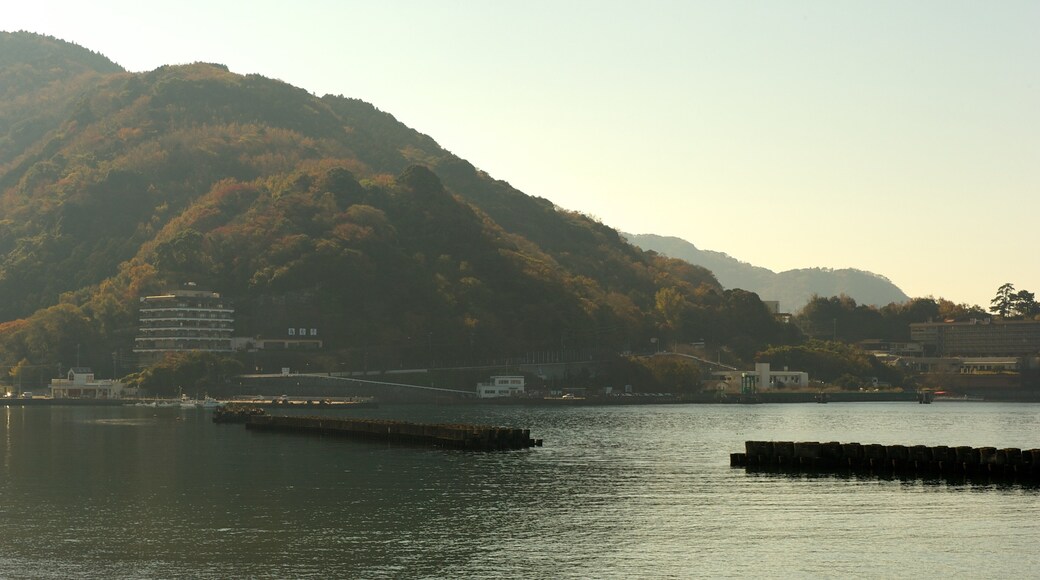 Toi Beach which includes landscape views and general coastal views