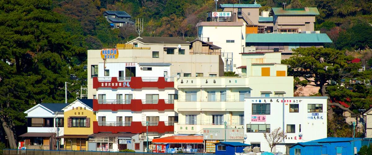 A coastal town with colorful buildings, a beach, and a forested hillside.