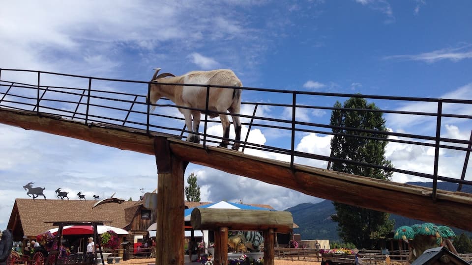 A goat on a wooden bridge, with a rural market and mountains in the background.