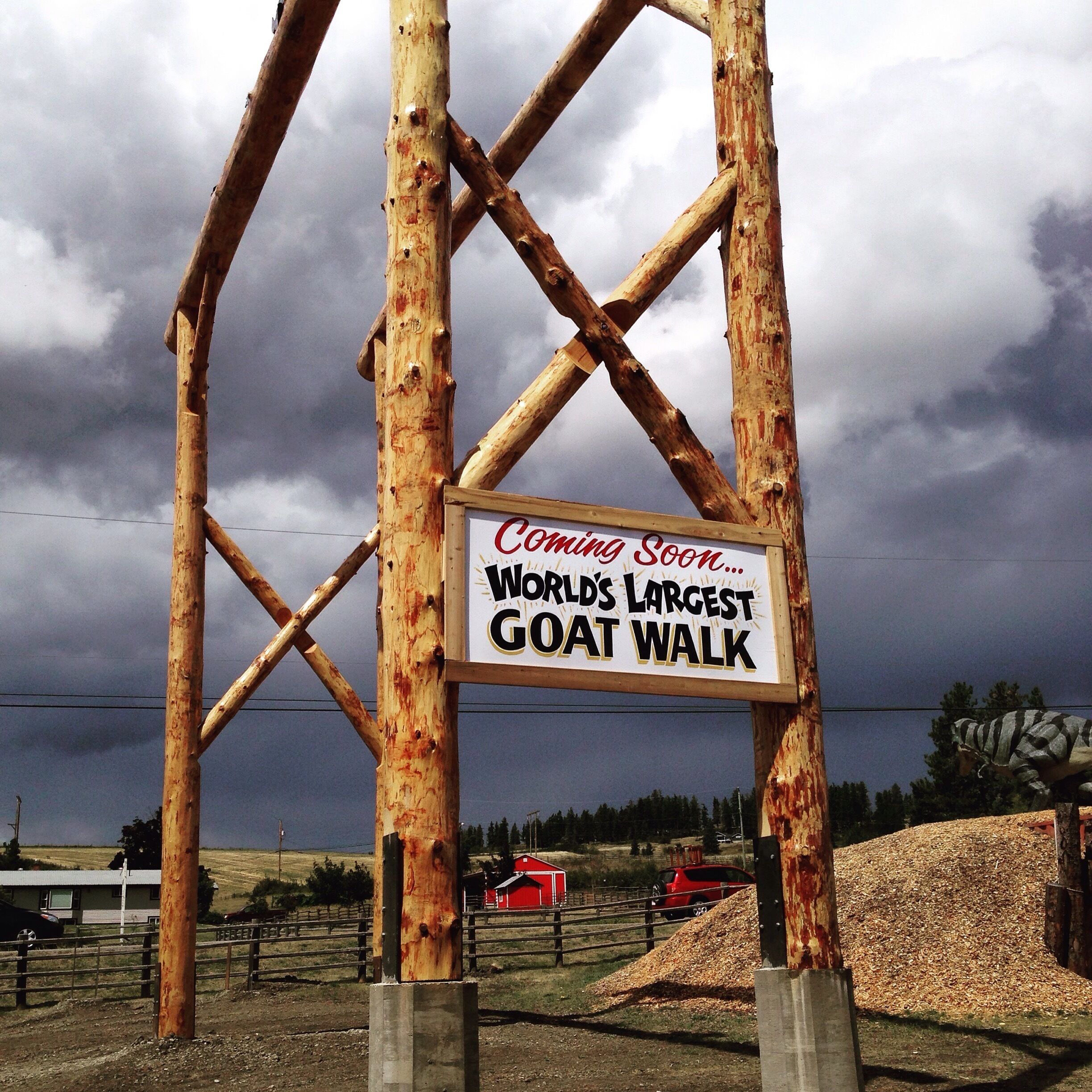 This was the most odd but awesome farmers market that I have ever come across. Picture The Olde West meets Jurassic park, King Kong, Kingdom Hearts, Roman Empire, Christmas... And oh so much more. Some of the statues were displayed quite comically, I mean when do you think you'd ever see a t-Rex pulling an old west wagon. Currently they have a wide assortment of candy, homemade Mennonite pies and pastries, fruit and veggies and the list goes on. There's a sky high goat walk which is currently being expanded upon to become one day the worlds largest. It is a must see if you are ever in the area.  