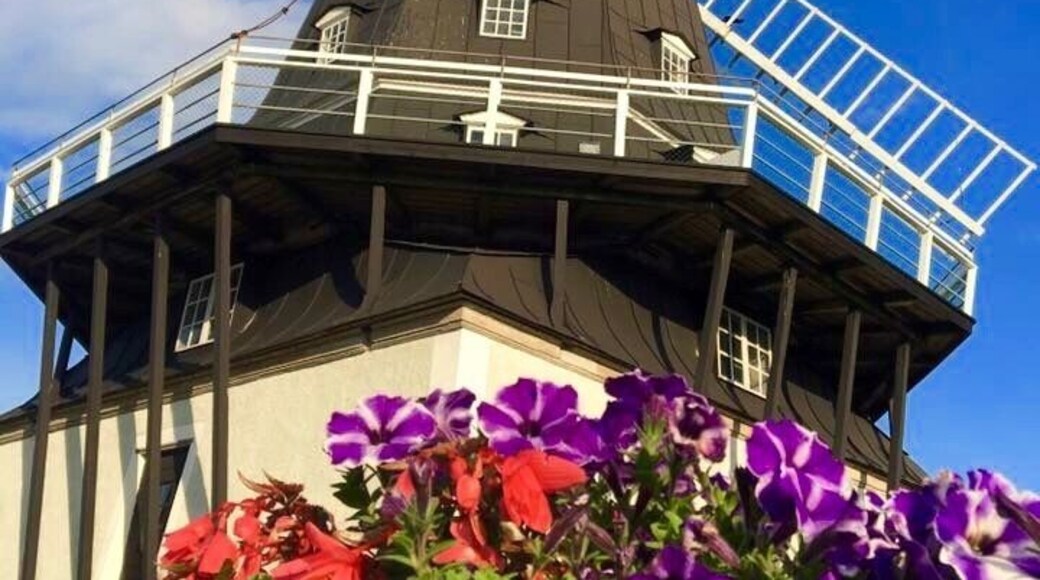 Sandvik Windmill, the largest windmill in Scandinavian countries, built in 1856 on the outskirts of Vimmerby and came to Öland only after the factory owner Gustav Hammarstedt on Öland Mechanical Industrial Stone bought in 1885 and had to move it to its current location.