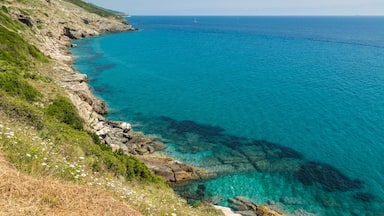 A coastal landscape with clear turquoise waters, rocky cliffs, and green vegetation.
