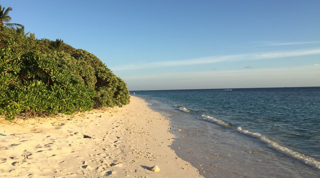 Green trees white sandy beaches and various shades of blue....!!!