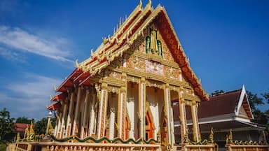 สะเดา