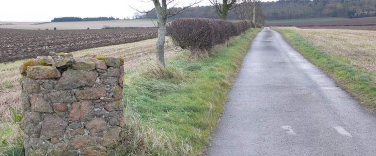 Towards Kilduff Hill This track is metalled throughout its length and I wonder if at one time it may have been a through road to the B1343? It now has a secure padlocked gate just where it leaves the road at drem. The hedgerows had lots of Blackbirds in them.