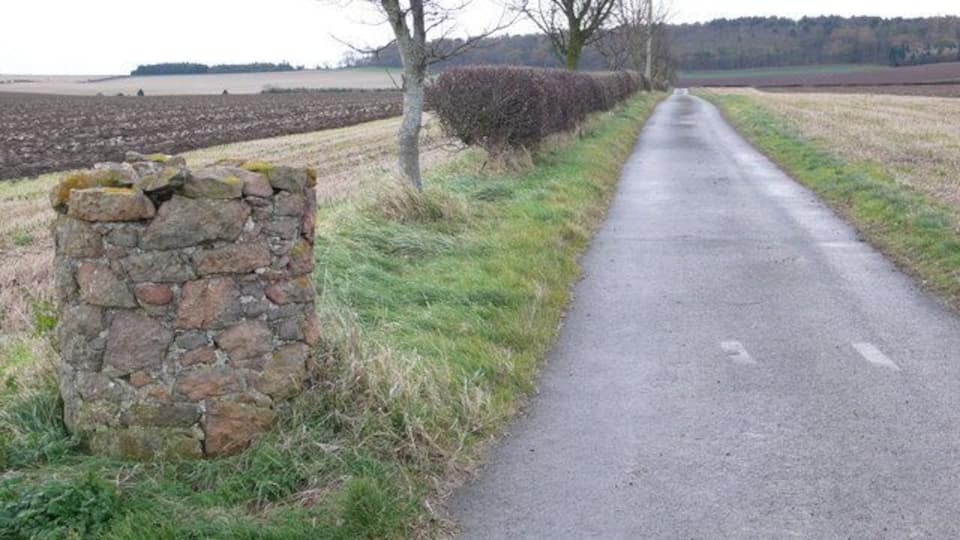 Towards Kilduff Hill This track is metalled throughout its length and I wonder if at one time it may have been a through road to the B1343? It now has a secure padlocked gate just where it leaves the road at drem. The hedgerows had lots of Blackbirds in them.