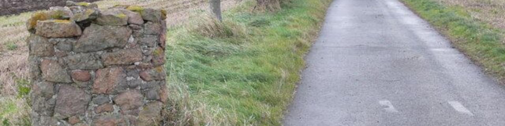 Towards Kilduff Hill This track is metalled throughout its length and I wonder if at one time it may have been a through road to the B1343? It now has a secure padlocked gate just where it leaves the road at drem. The hedgerows had lots of Blackbirds in them.