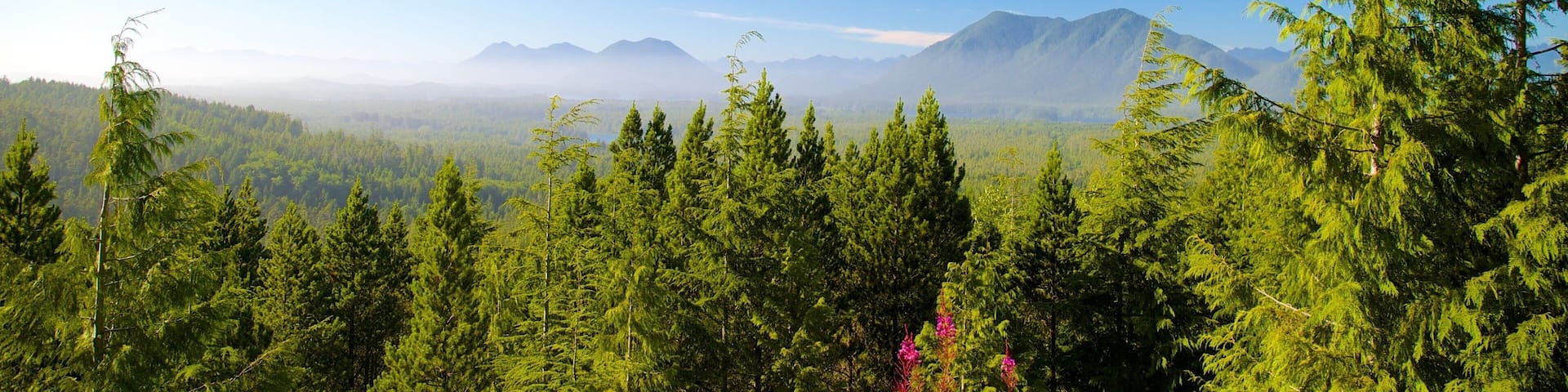 Radar Hill showing landscape views and forests