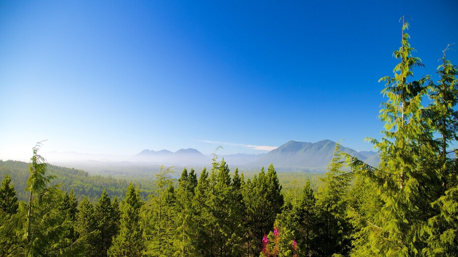 Radar Hill showing landscape views and forests