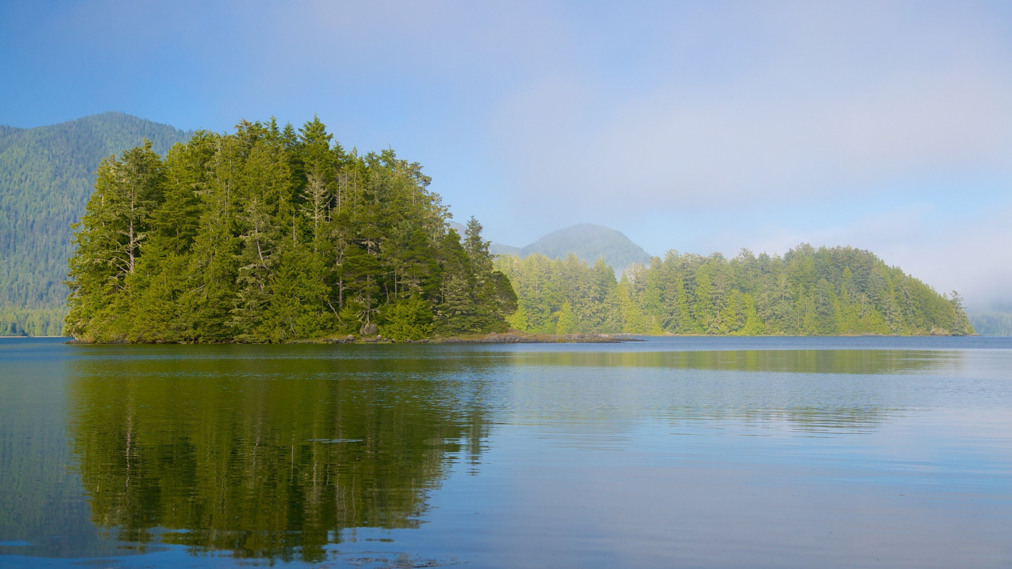 Tofino Botanical Gardens showing a lake or waterhole and forest scenes