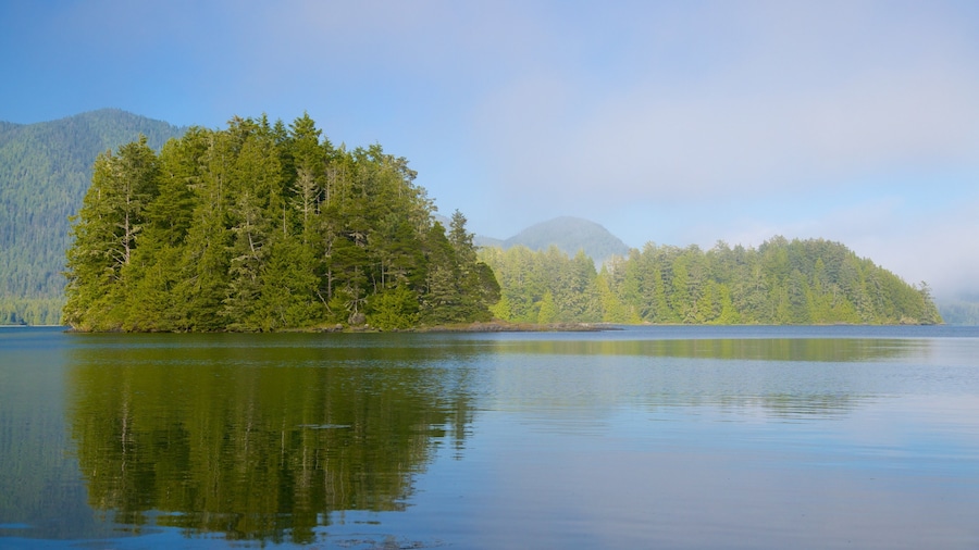 Tofino Botanical Gardens showing a lake or waterhole and forest scenes