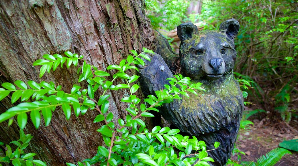 Tofino Botanical Gardens which includes forests, outdoor art and a park