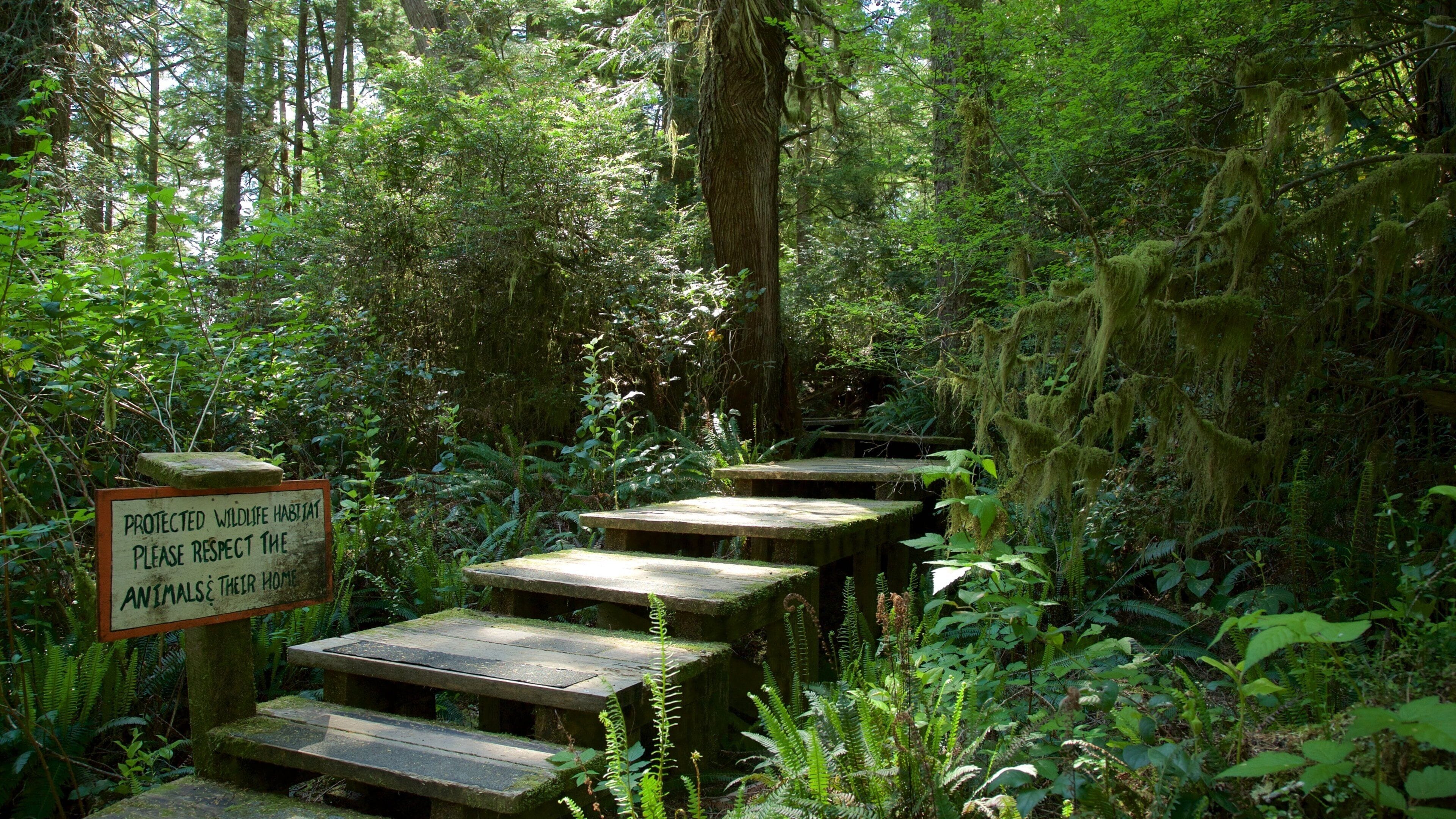Tofino Botanical Gardens que inclui sinalização e um jardim