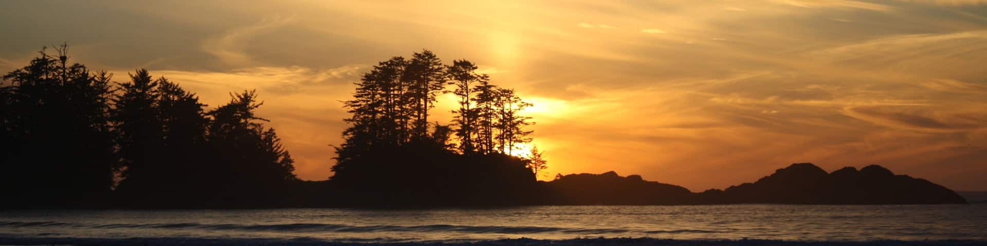 Chesterman Beach which includes landscape views, general coastal views and a sandy beach