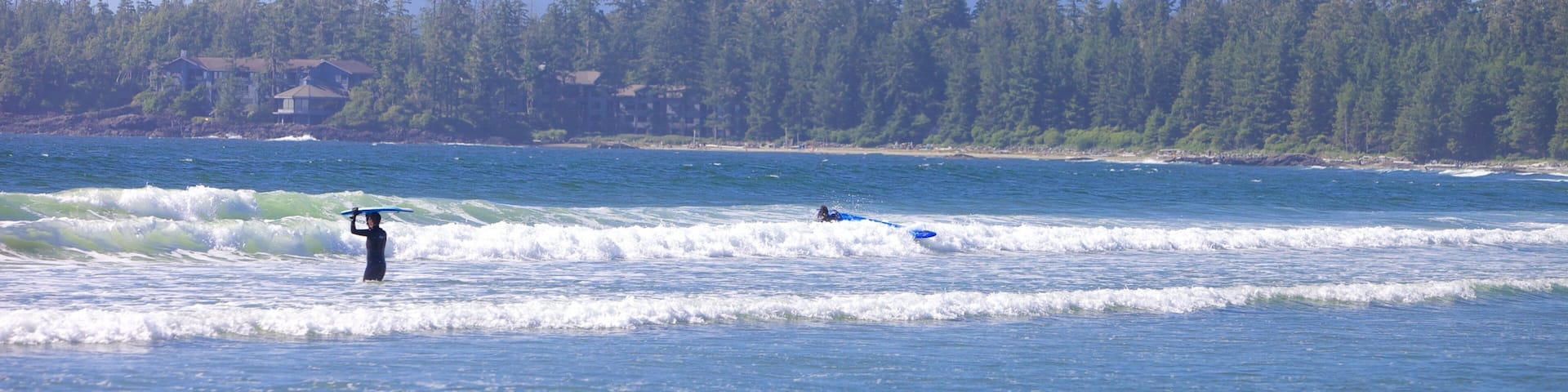 A coastal scene with waves, a surfer, and a forested mountain range in the background.