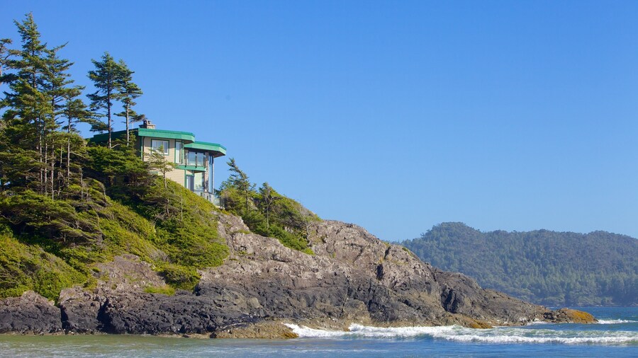Chesterman Beach showing general coastal views and rugged coastline
