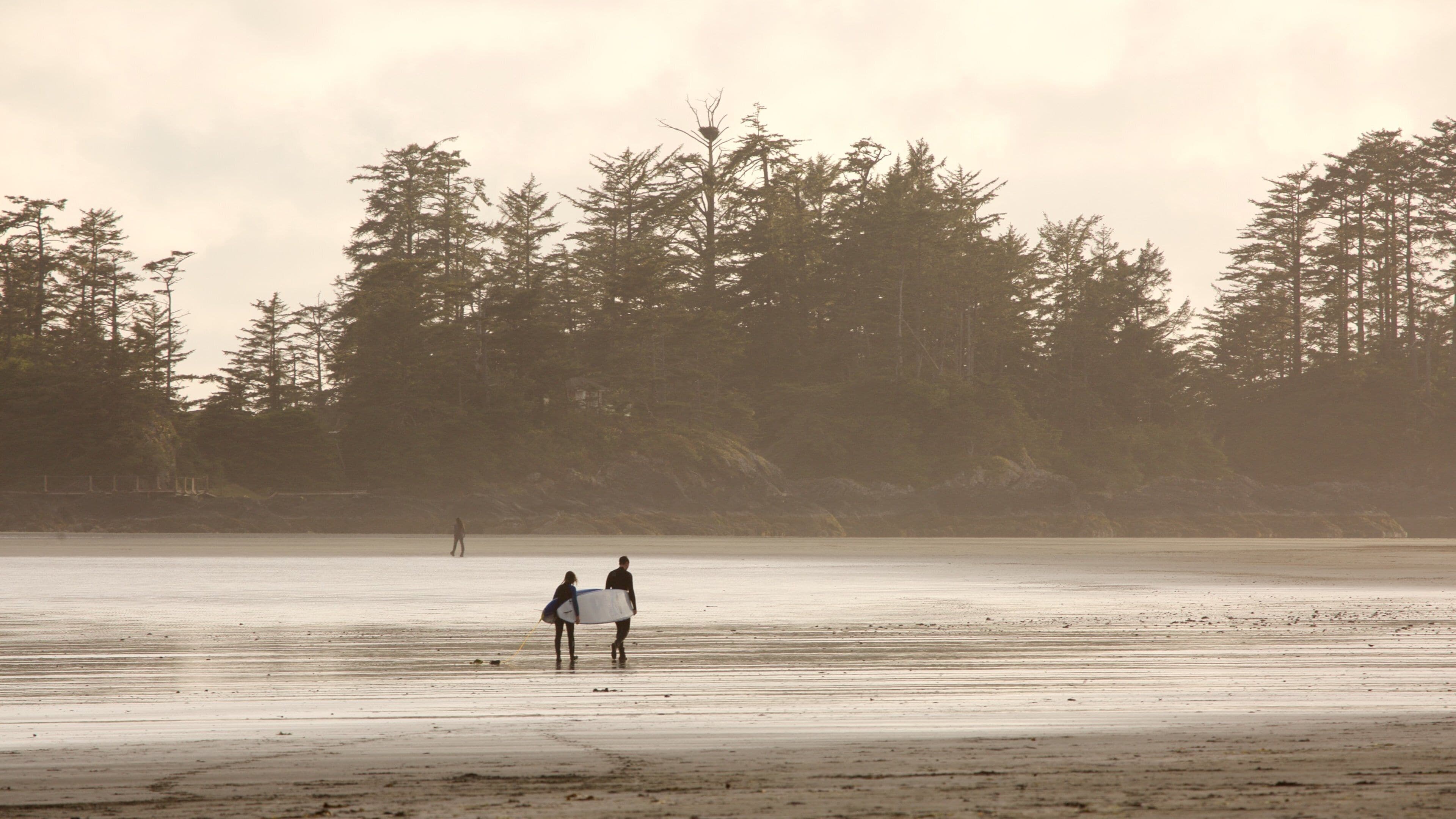 Een strand met twee mensen die lopen, omringd door dicht bos.