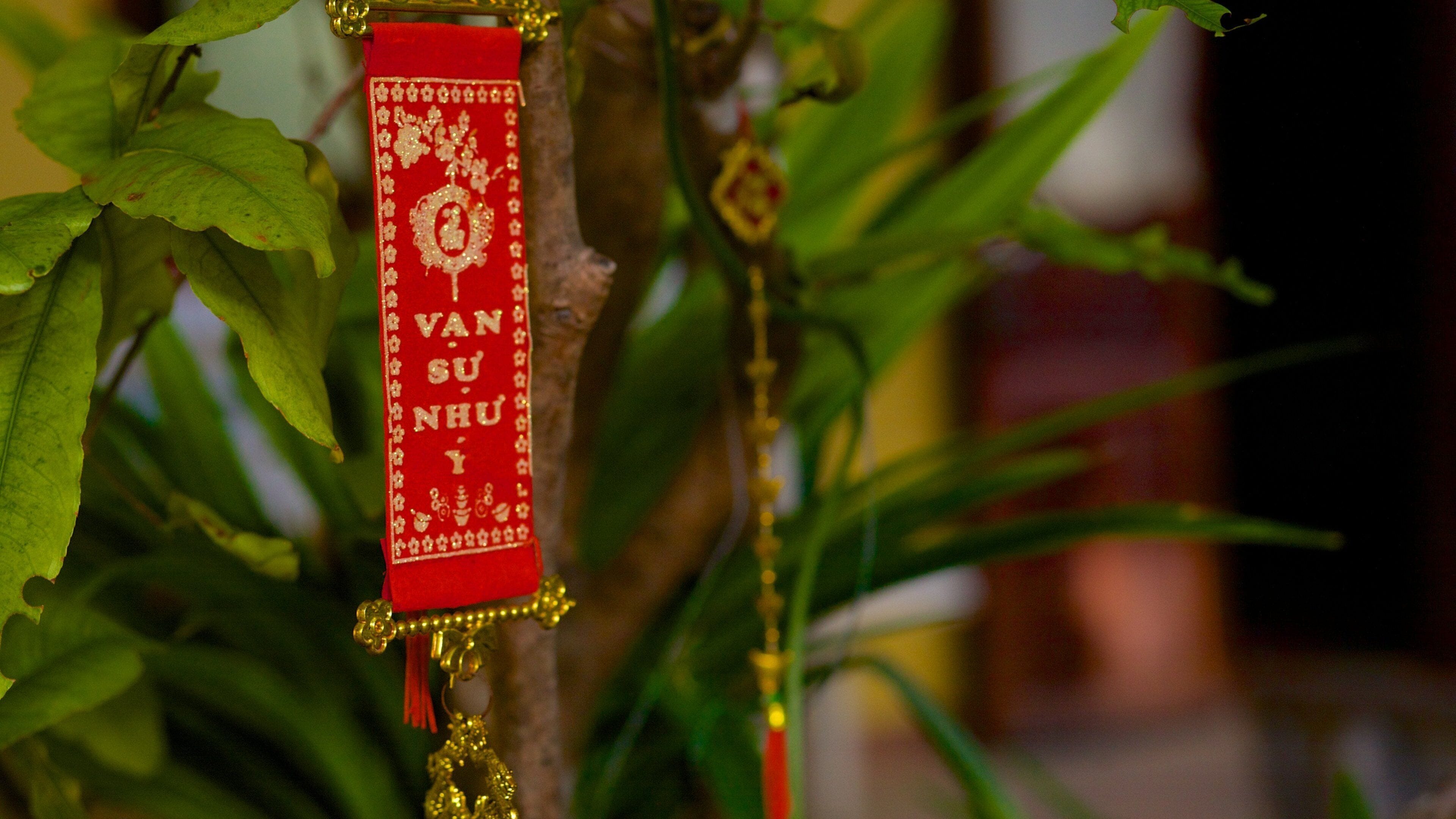 Linh Son Co Tu featuring religious elements and signage