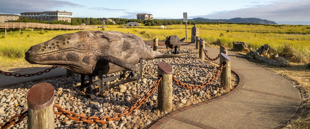 Gray Whale Skeleton featuring tranquil scenes