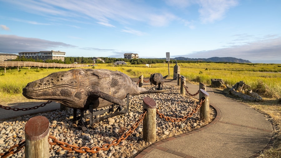 Gray Whale Skeleton featuring tranquil scenes