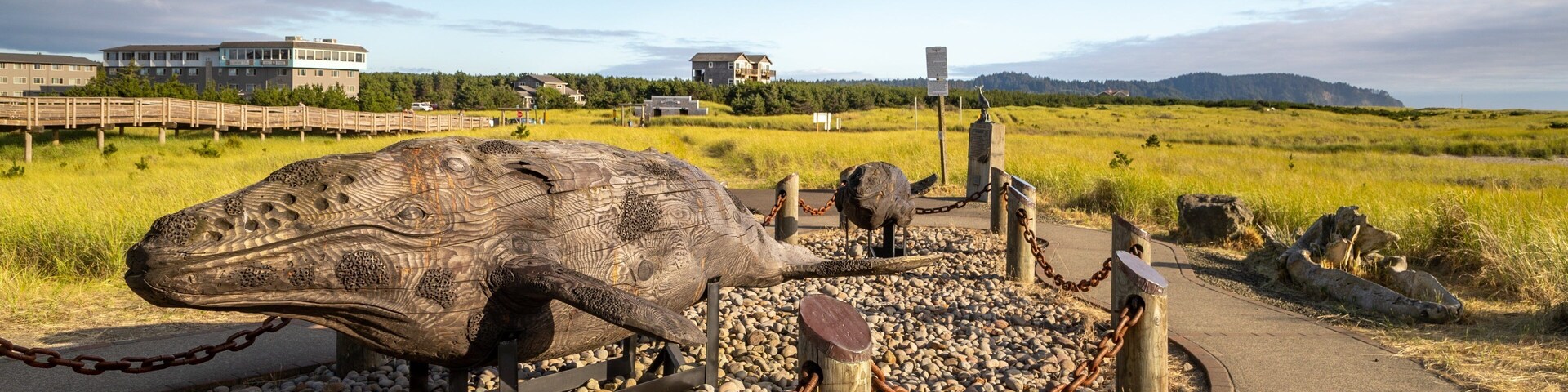 Gray Whale Skeleton featuring tranquil scenes
