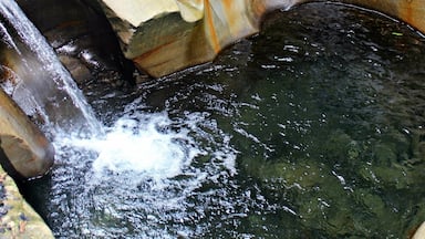 The Cumberland Potholes is a treasure trove of natural beauty. This hidden gem is a definite must see when you are in the area.