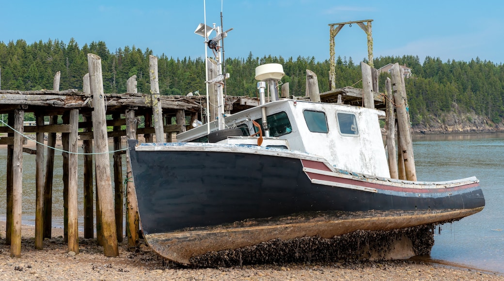An unidentified fishing boat at low tide. It rests on a beach next to an old wooden wharf. Barnacles hand from the bottom. Blue sky above.