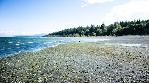 Denman Island