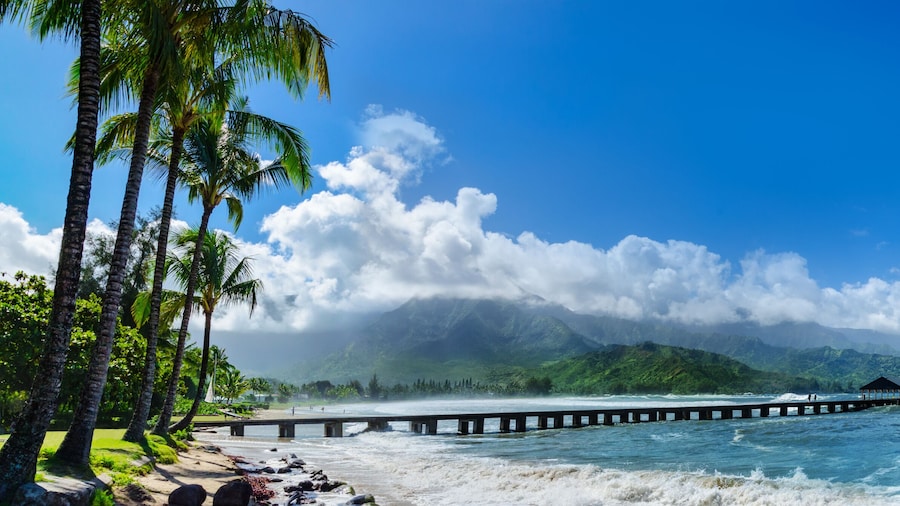 Muelle de Hanalei