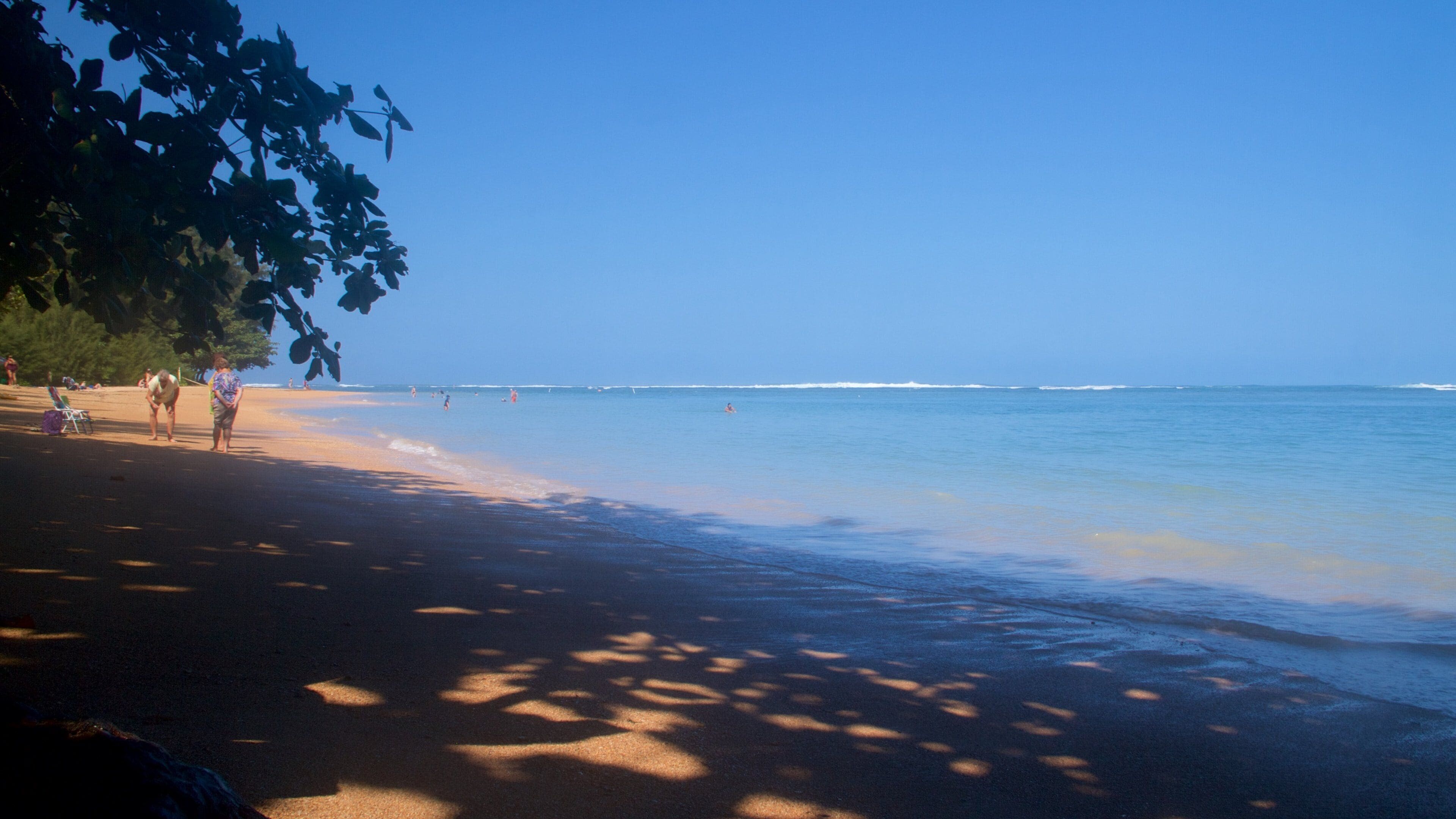 Anini Beach featuring a beach