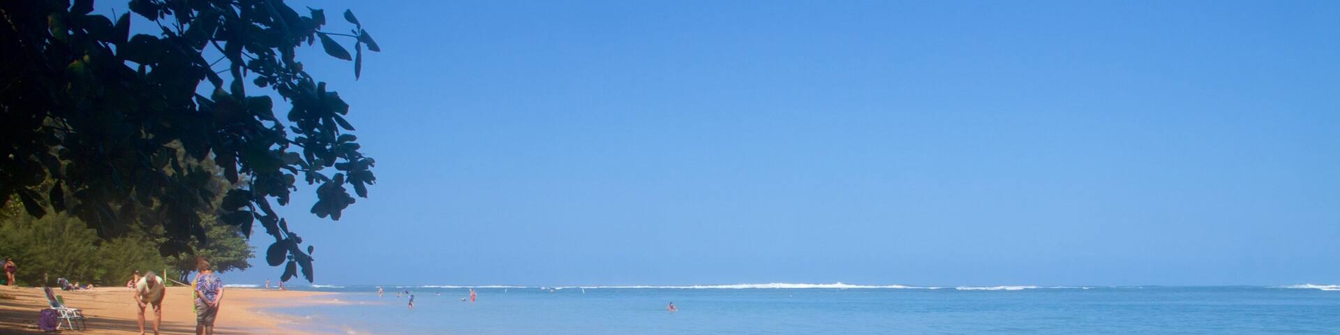 アニニ ビーチ フィーチャー 砂浜