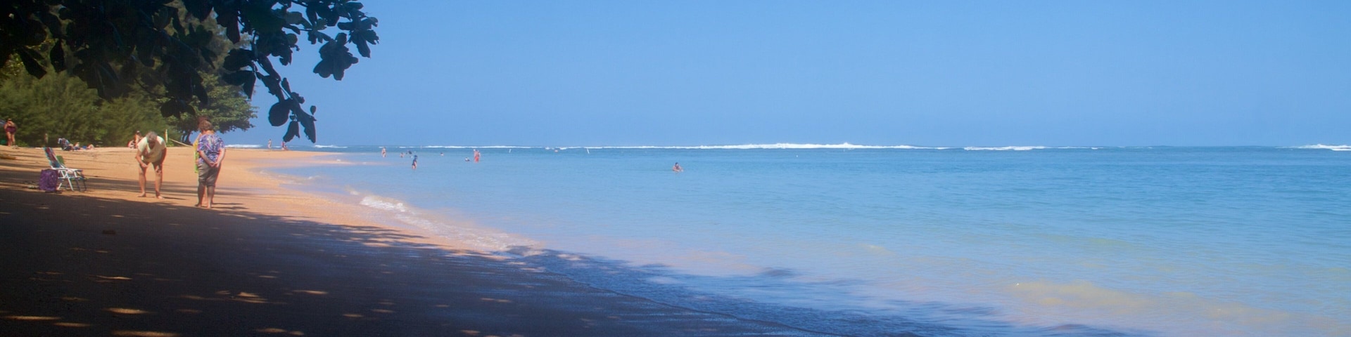 Anini Beach mostrando uma praia