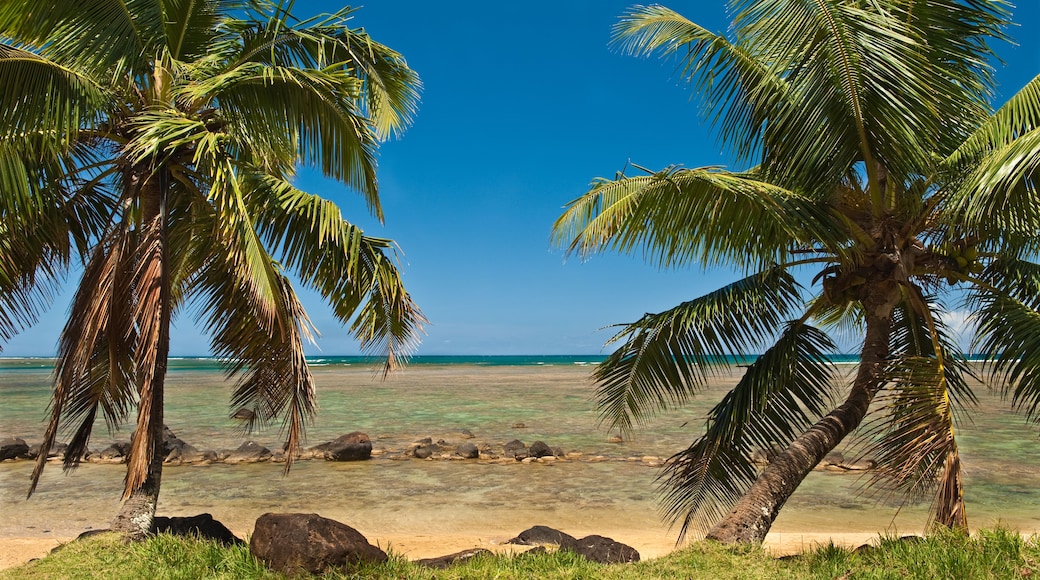 Anini Beach Hawaii; Shutterstock ID 40587700; Purchase Order: -