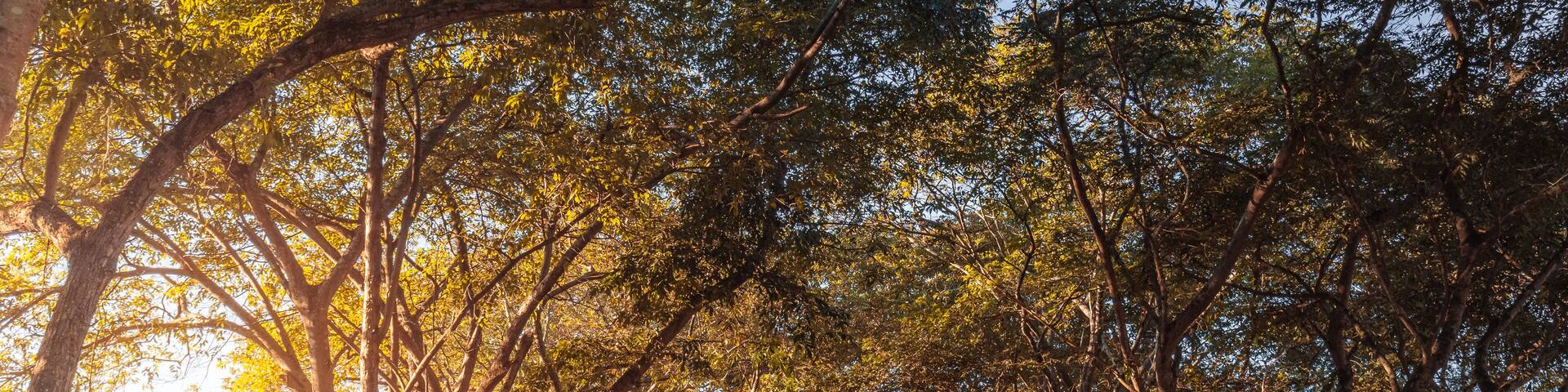 Beautiful walkway in a park hit by morning sunlight