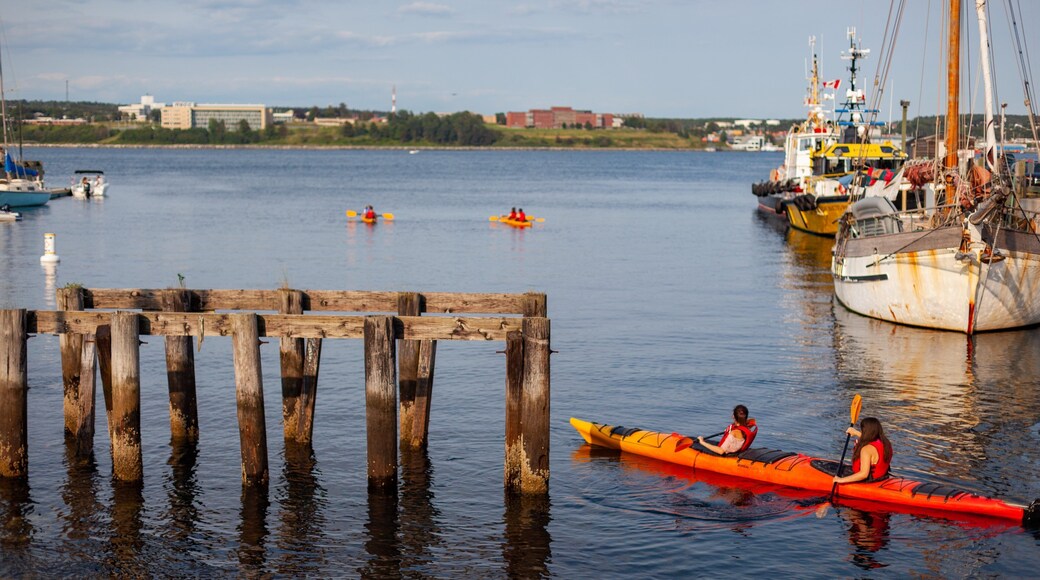 Halifax Waterfront Boardwalk featuring a bay or harbor and kayaking or canoeing as well as a couple