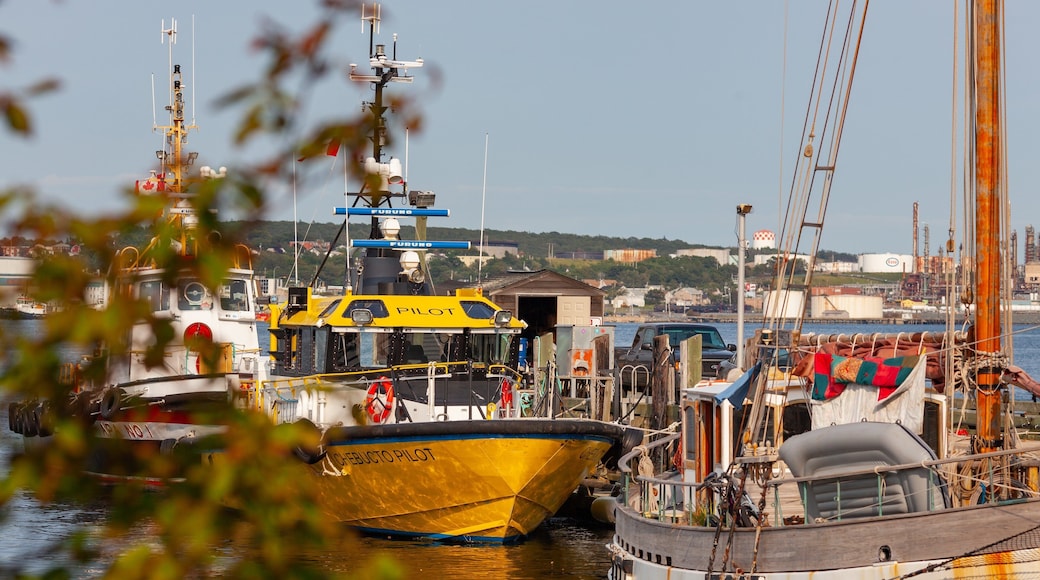 Halifax Waterfront Boardwalk showing a bay or harbor