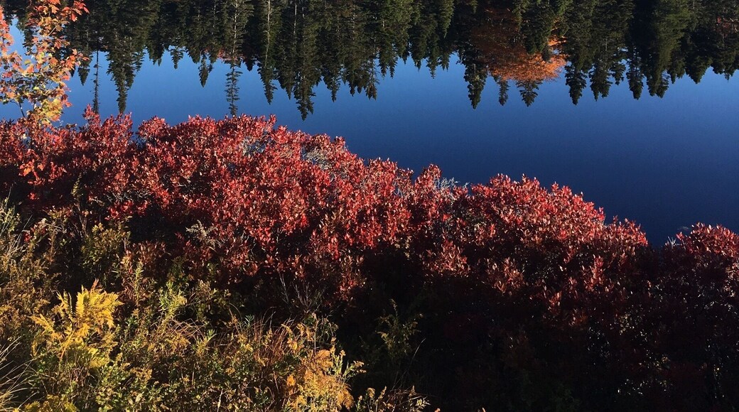 Roadtrip to Peggy's Cove #LifeAtExpedia
