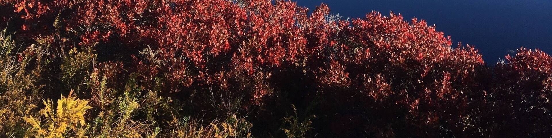 Roadtrip to Peggy's Cove #LifeAtExpedia