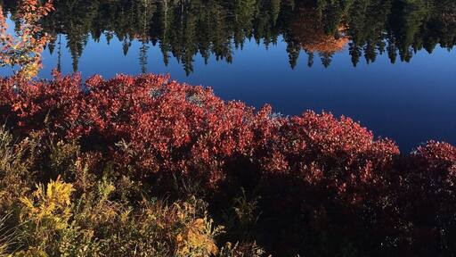 Roadtrip to Peggy's Cove #LifeAtExpedia